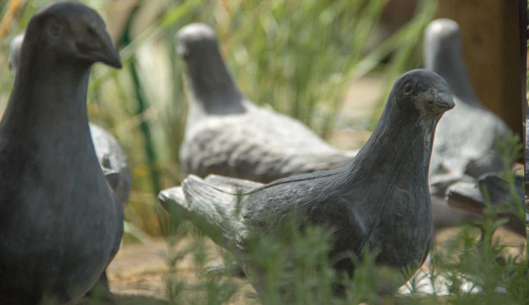 tuinrornamenten-dieren-hovenierscentrum-de-briellaerd-barneveld_l_10