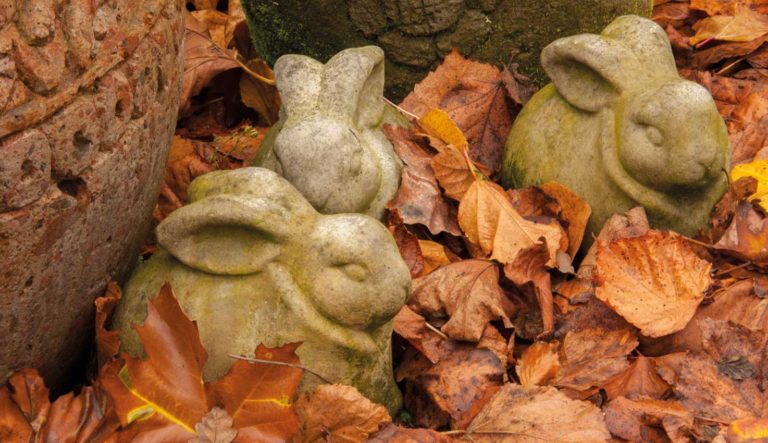 tuinrornamenten-dieren-hovenierscentrum-de-briellaerd-barneveld_l_17