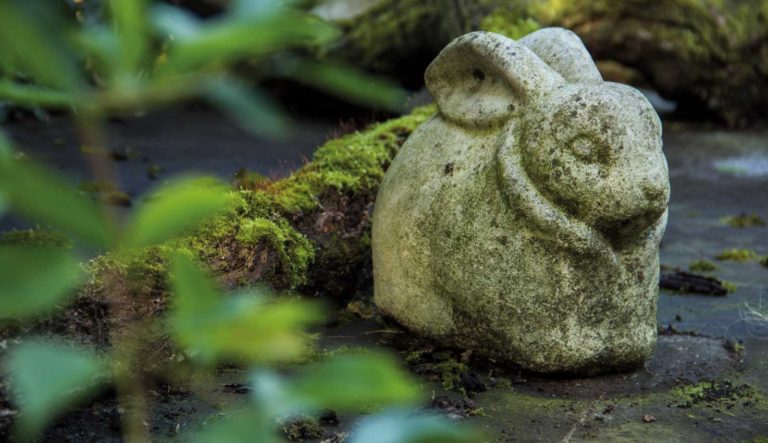 tuinrornamenten-dieren-hovenierscentrum-de-briellaerd-barneveld_l_3