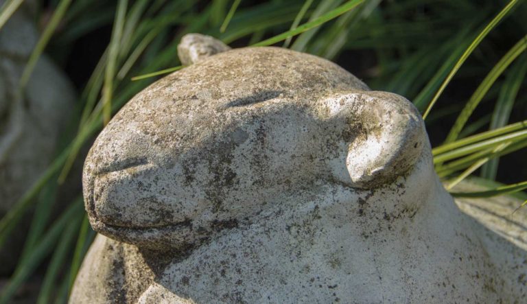 tuinrornamenten-dieren-hovenierscentrum-de-briellaerd-barneveld_l_6
