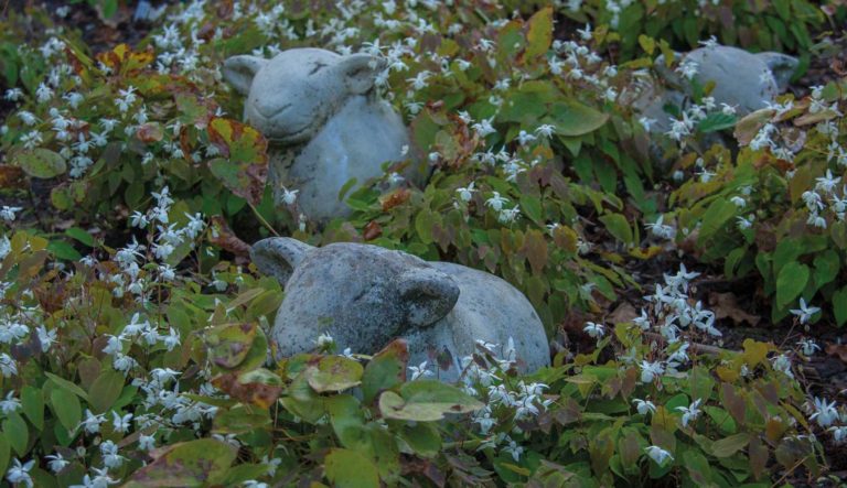tuinrornamenten-dieren-hovenierscentrum-de-briellaerd-barneveld_l_7