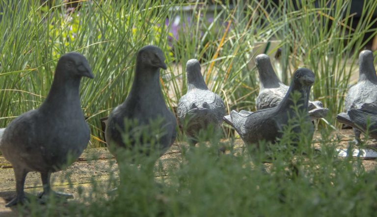 tuinrornamenten-dieren-hovenierscentrum-de-briellaerd-barneveld_l_8