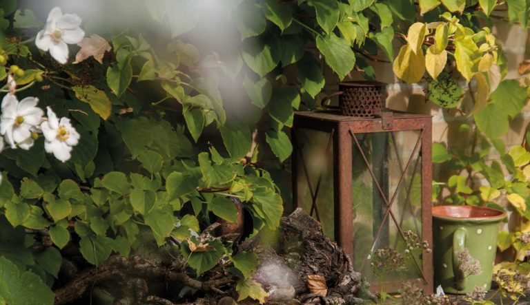 sfeermakers-voor-in-de-tuin-hovenierscentrum-de-briellaerd-barneveld_l_1