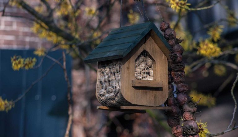 sfeermakers-voor-in-de-tuin-hovenierscentrum-de-briellaerd-barneveld_l_4