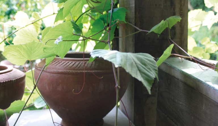 sfeermakers-voor-in-de-tuin-hovenierscentrum-de-briellaerd-barneveld_l_6