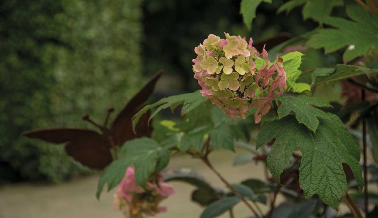 sfeermakers-voor-in-de-tuin-hovenierscentrum-de-briellaerd-barneveld_l_7