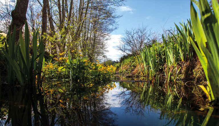 lentesfeer-op-hovenierscentrum-de-briellaerd-barneveld_l_1