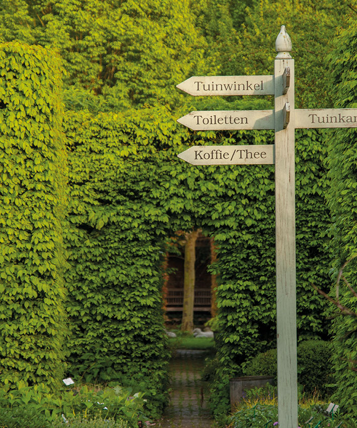 lentesfeer-op-hovenierscentrum-de-briellaerd-barneveld_s_1