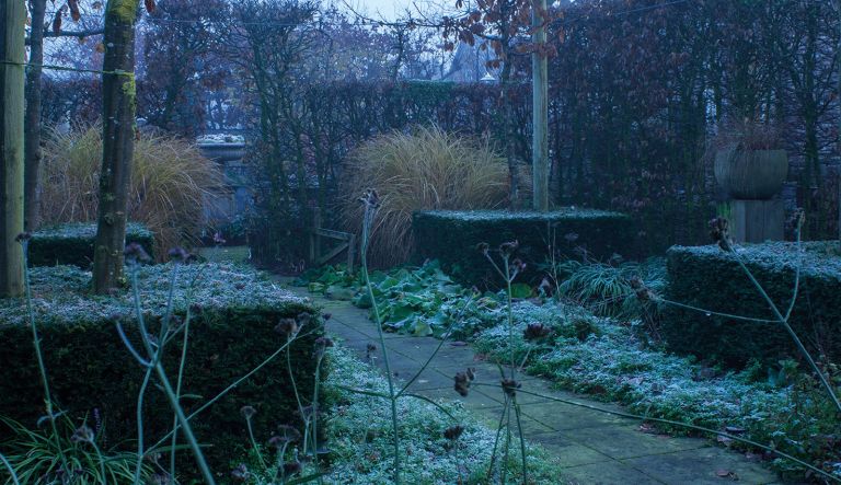 de-winter-in-de-tuin-met-haar-kenmerkende-rijp-op-hovenierscentrum-de-briellaerd-in-barneveld