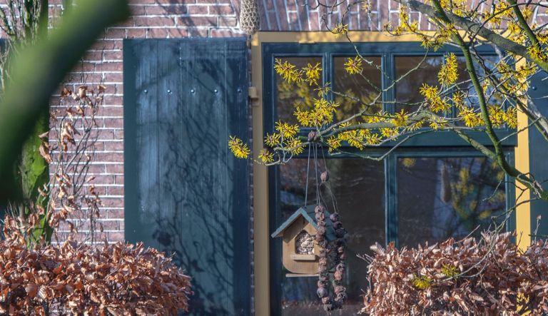 januari-bij-hovenierscentrum-de-briellaerd-barneveld_l_1