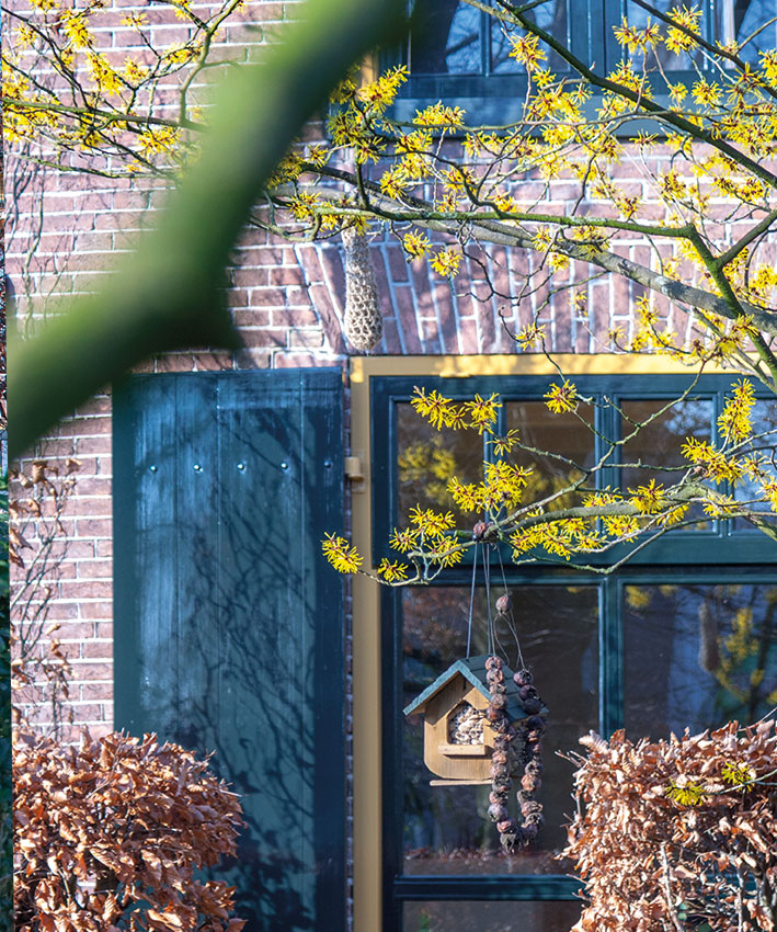 januari-bij-hovenierscentrum-de-briellaerd-barneveld_s_4