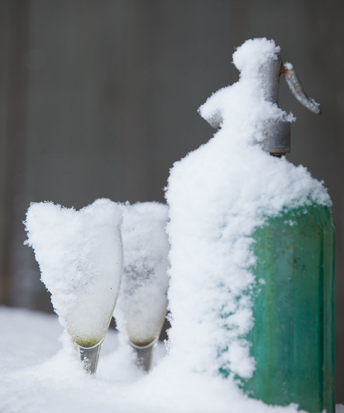 tuindecoratie_in_de_sneeuw_hovenierscentrum_de_briellaerd