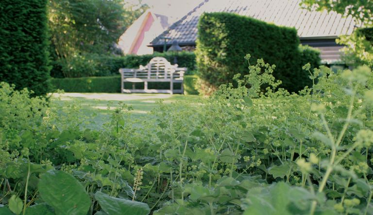 klassieke-tuin-met-duidelijk-middelpunt-te-elburg-door-hovenierscentrum-de-briellaerd-barneveld_l_8