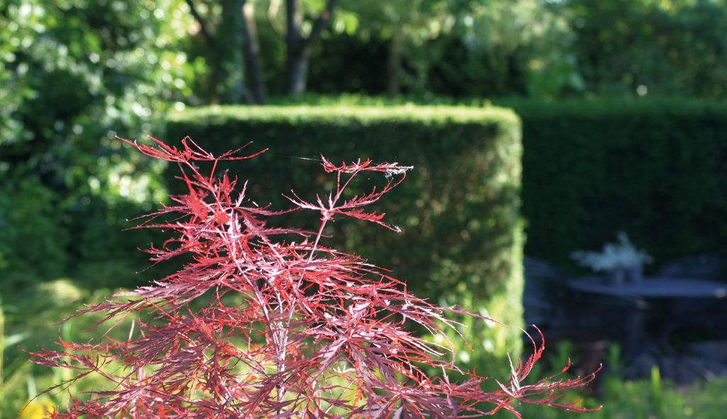 Klassiek tuin te Elburg
