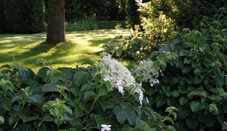 klassieke-tuin-te-elburg-door-hovenierscentrum-de-briellaerd-barneveld_l_6