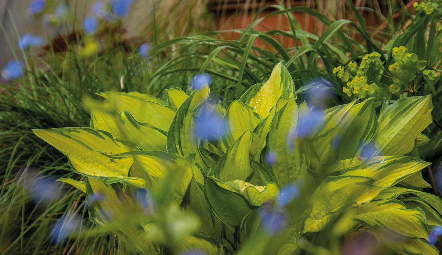 cursus-het-maken-van-een-beplantingsplan-de-juiste-beplanting_l__mg_3697
