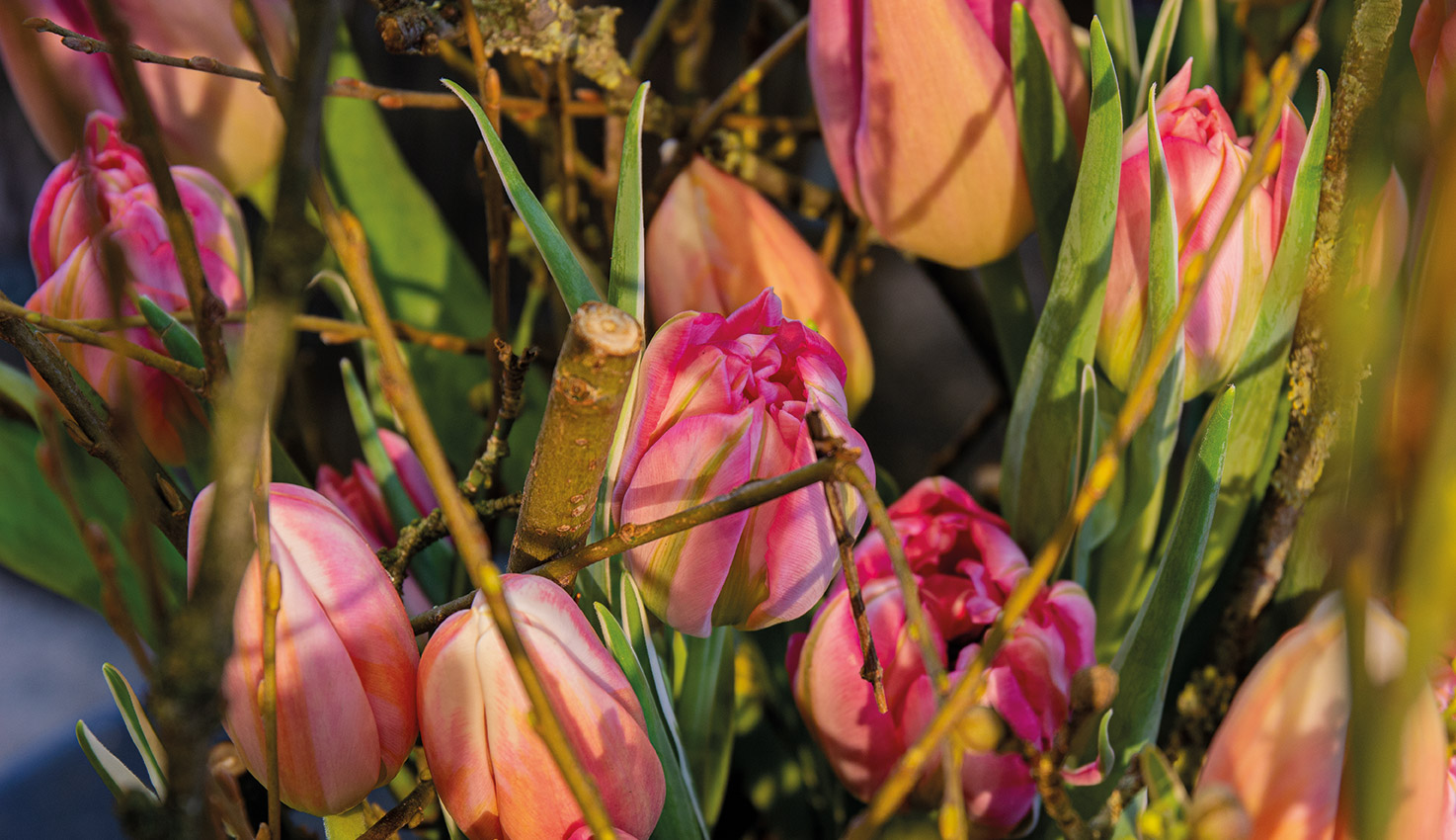 bundel-van-takken-workshop-boeket-maken-van-takken-en-tulpen-combineren-met-voorjaarsbloemen_l1_img_4796