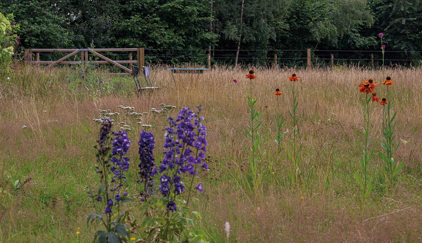 85-tak-art-space-gelderse-tuinen-open-tuinenroute-hovenierscentrum-de-briellaerd-barneveld_5_l_img_0089