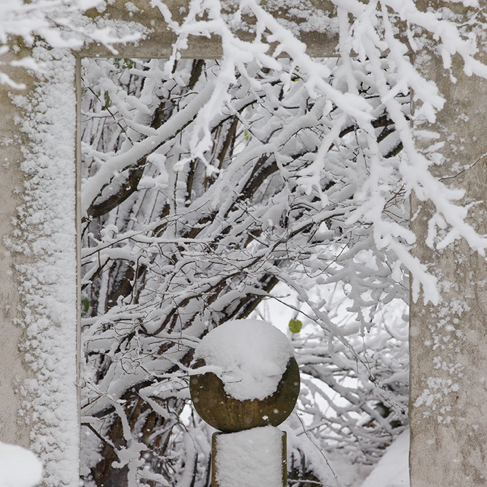 Sneeuwpret in onze tuin!