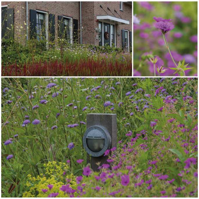 Deze week in de categorie ‘grootse, groene dromen’ de landelijk gelegen natuurtuin om in te leven en beleven in Barneveld.