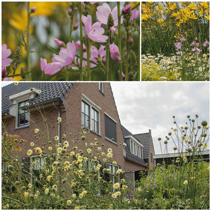 Deze week in de categorie ‘grootse, groene dromen’ de landelijk gelegen natuurtuin om in te leven en beleven in Barneveld.