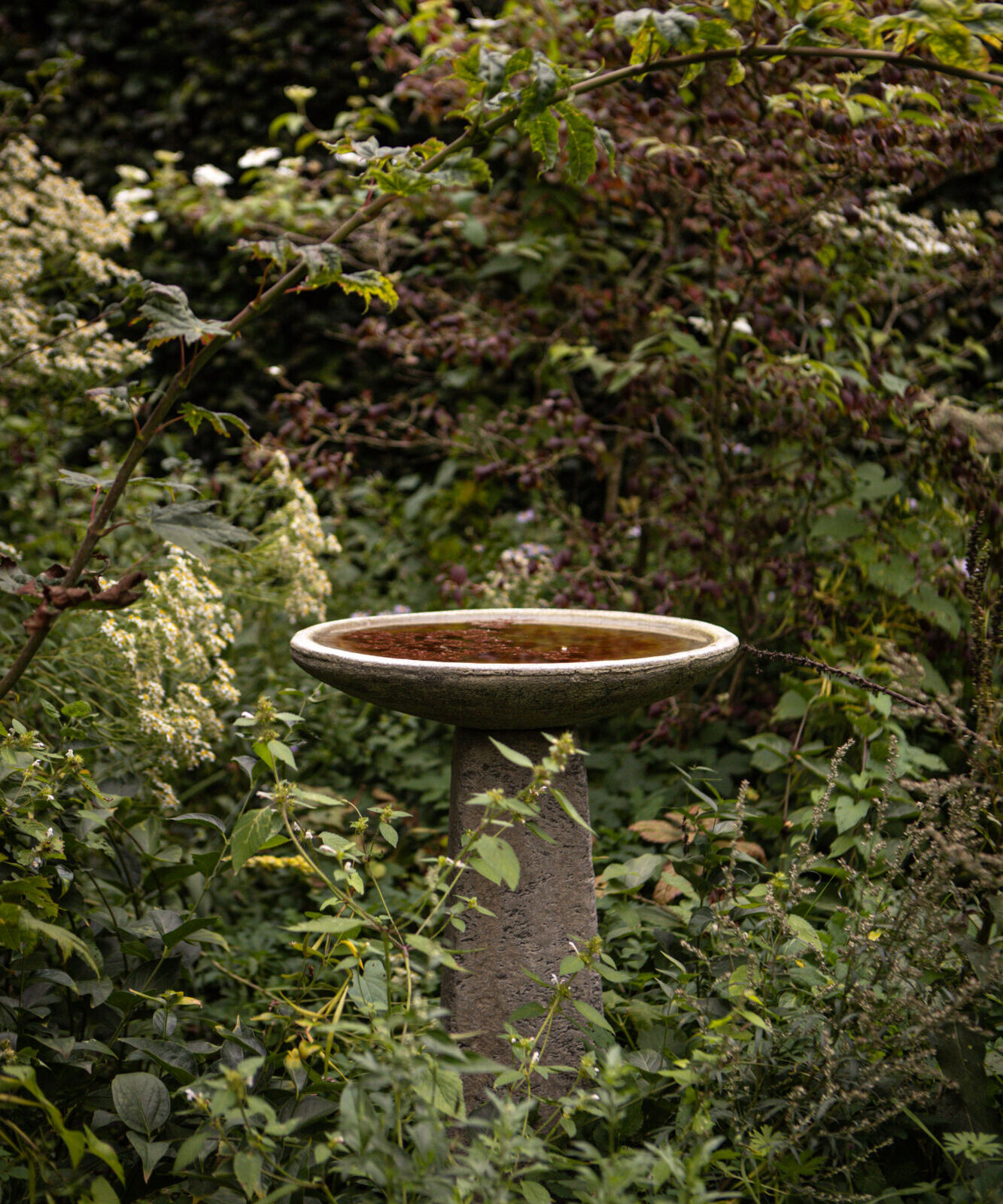 Vogeldrinkschaal De Briellaerd