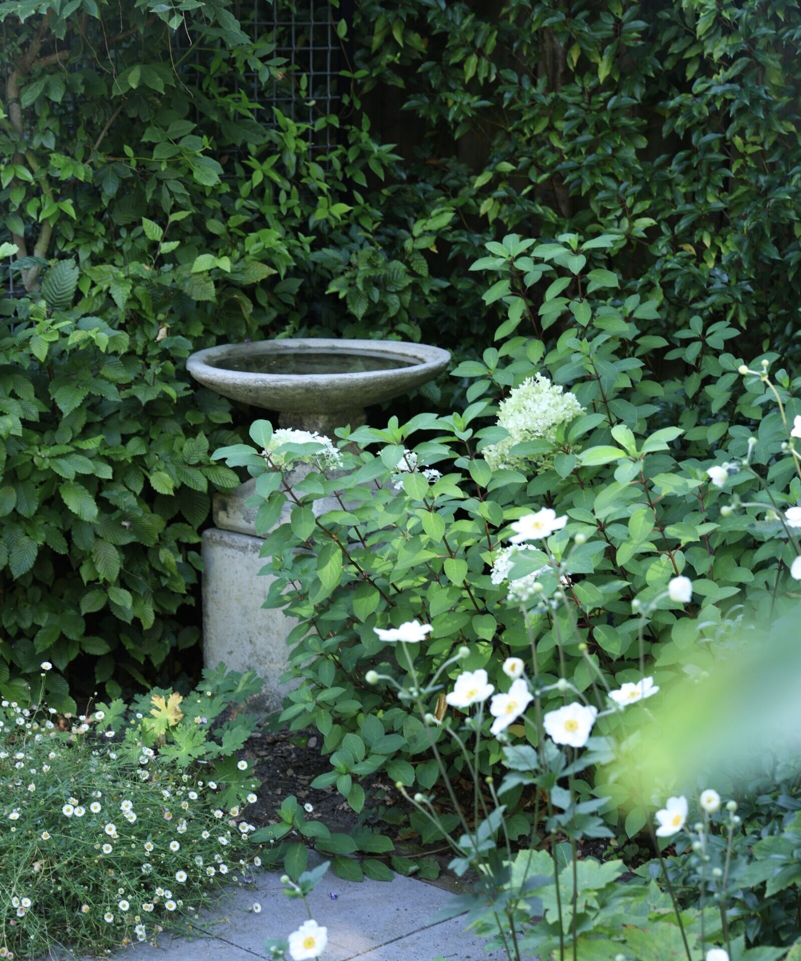 Vogeldrinkschaal in groene border