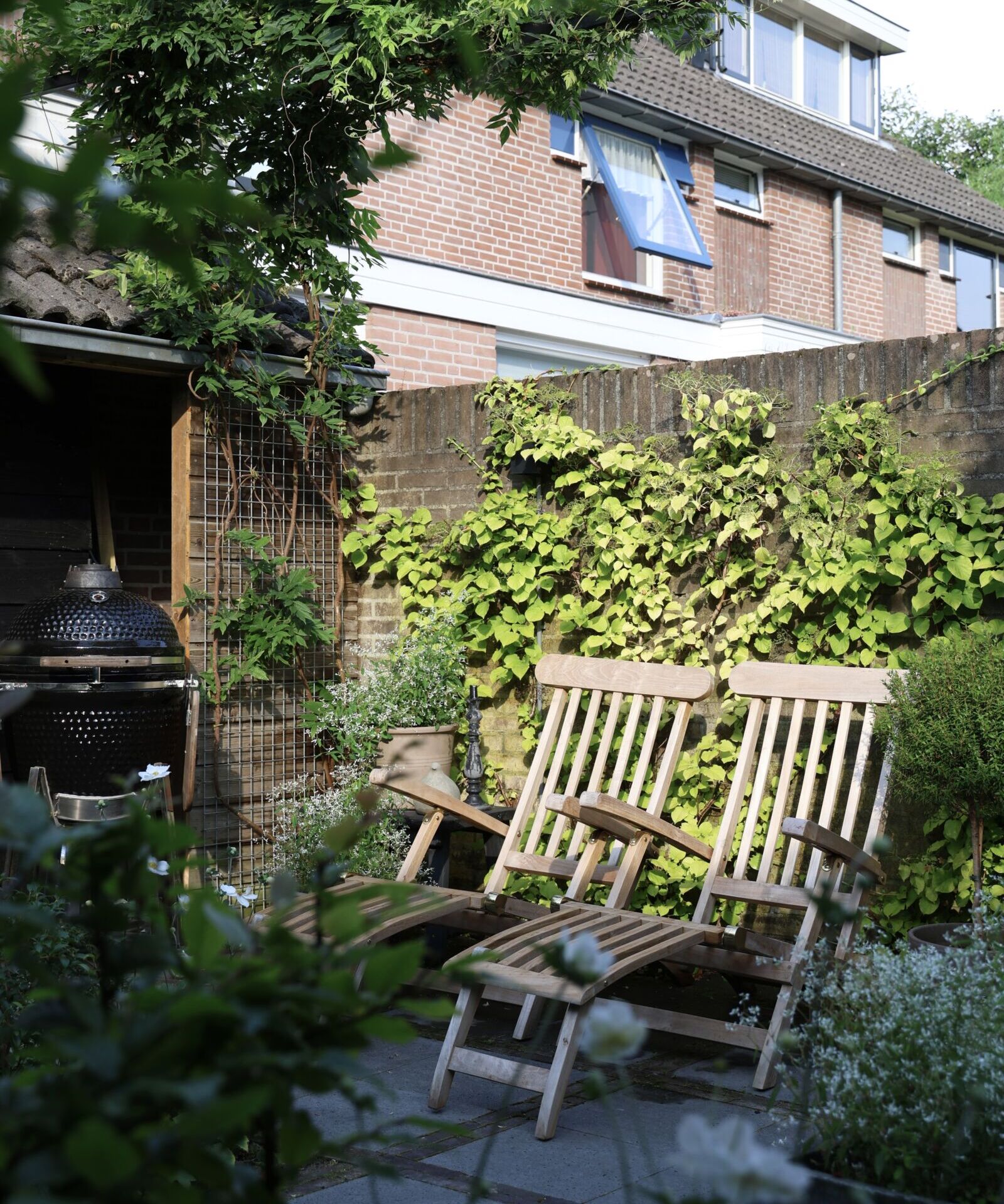 Zithoek onder Wisteria