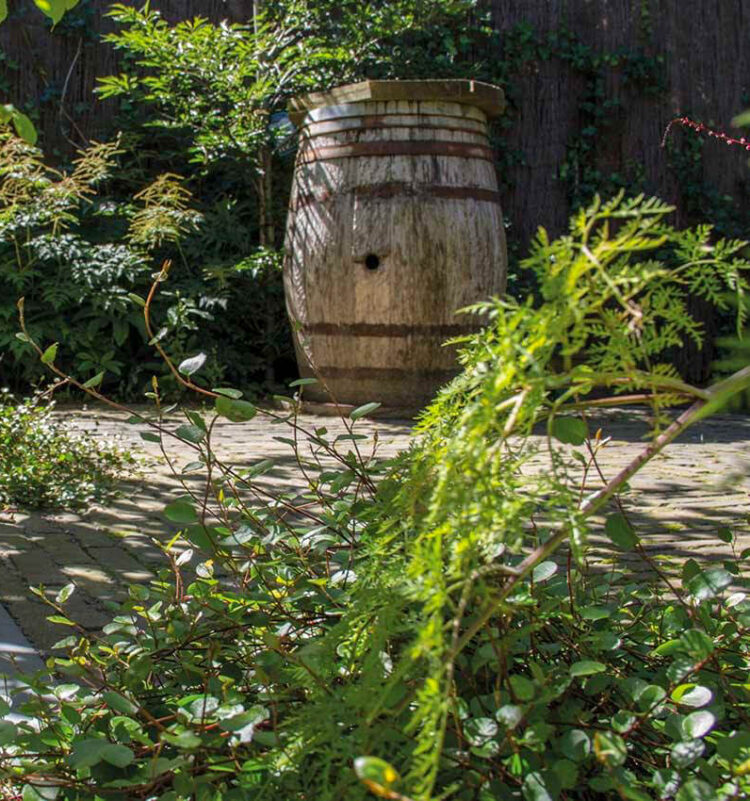 Weelderige leeftuin in Bilthoven