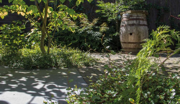 Weelderige leeftuin in Bilthoven