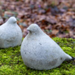 Twee duifjes, maat L op voorgrond