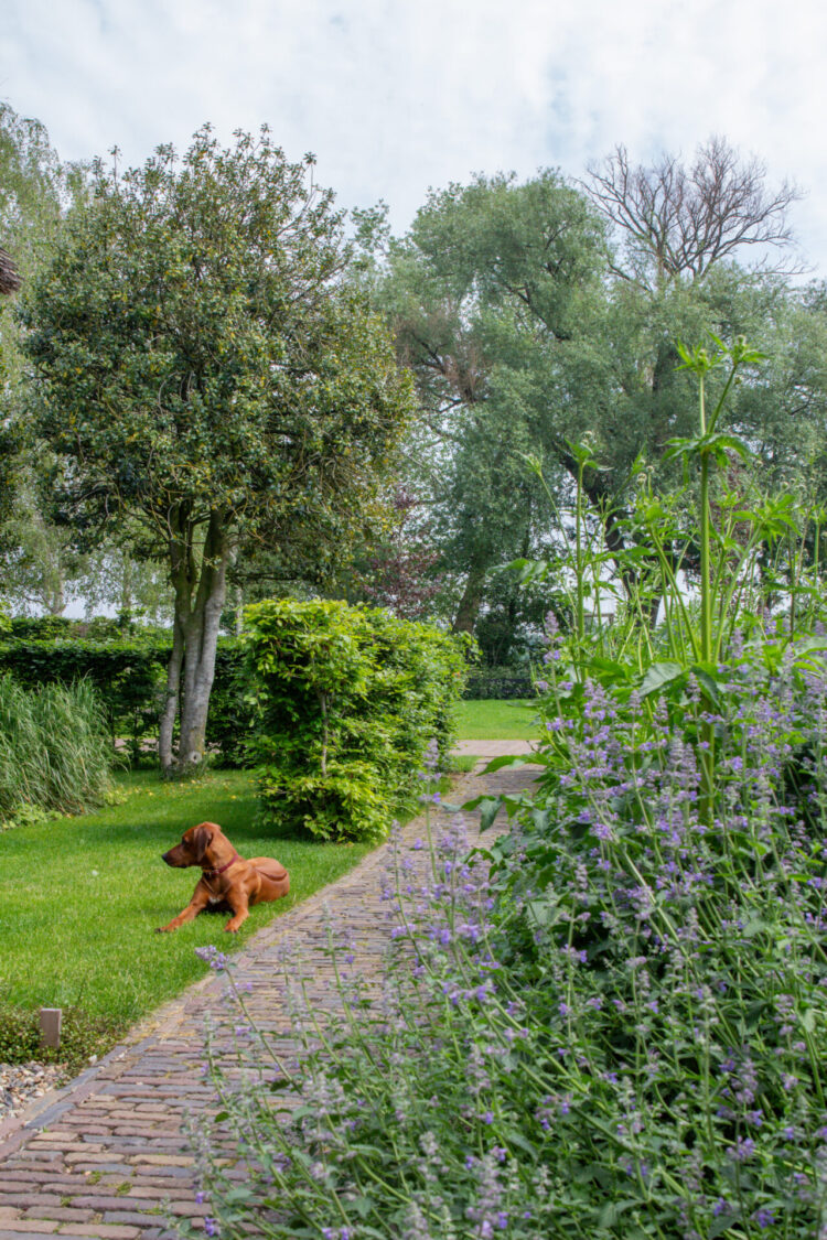 Een landelijke tuin in het buitengebied tussen Barneveld en Kootwijkerbroek