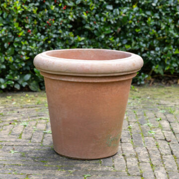 Camelia Classico 40 cm – Terracotta D'arte