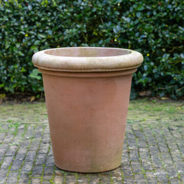 Camelia Classico 50 cm – Terracotta D'arte