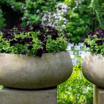 Caspo Basso Grigio 80 cm – Terracotta D'arte