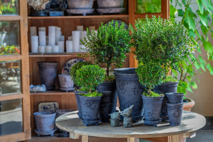 Nieuwe producten in de Tuinwinkel